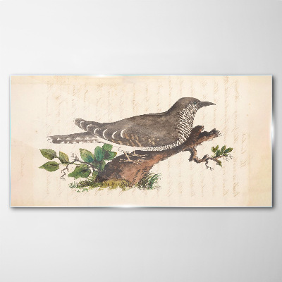 Bird drawing Glass Wall Art