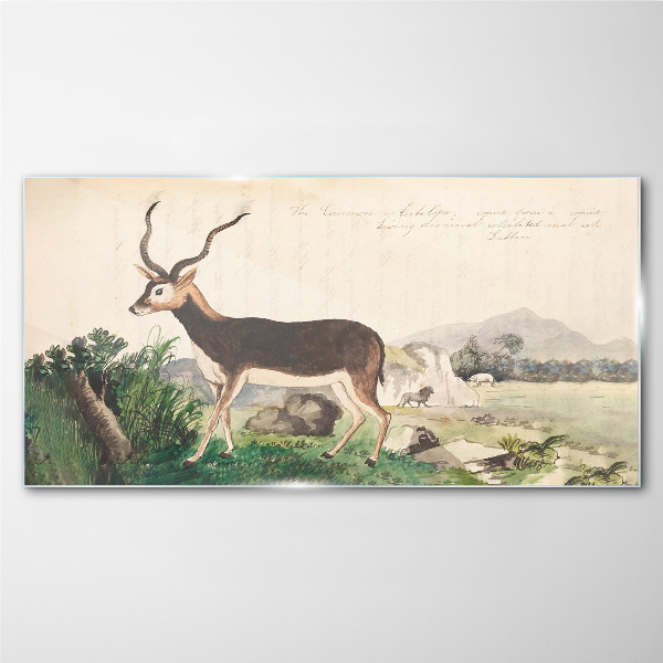 Antelope in the background of the landscape Glass Wall Art