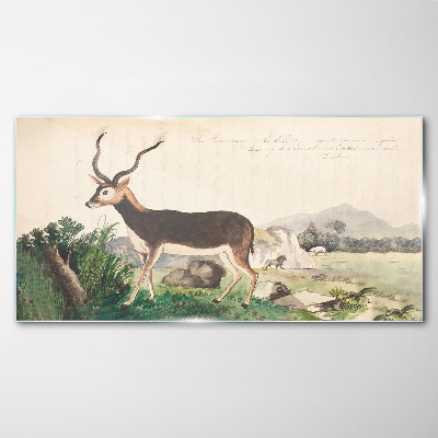 Antelope in the background of the landscape Glass Wall Art