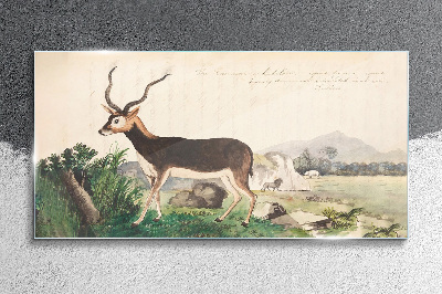 Antelope in the background of the landscape Glass Wall Art
