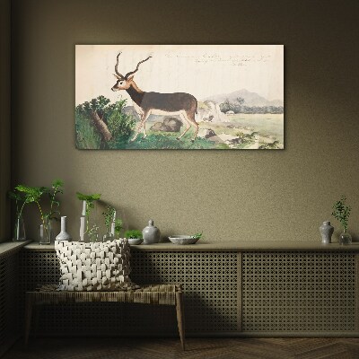 Antelope in the background of the landscape Glass Wall Art
