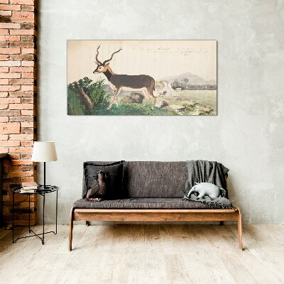 Antelope in the background of the landscape Glass Wall Art