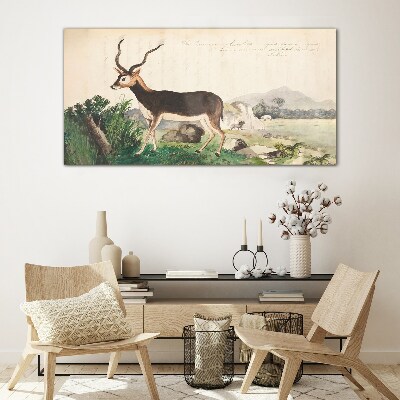 Antelope in the background of the landscape Glass Wall Art
