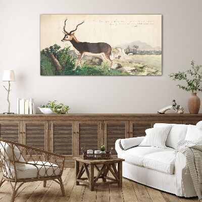 Antelope in the background of the landscape Glass Wall Art