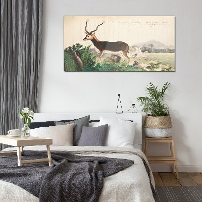 Antelope in the background of the landscape Glass Wall Art