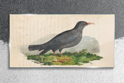 Bird on a green background Glass Wall Art