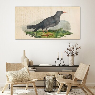 Birds animals Glass Wall Art