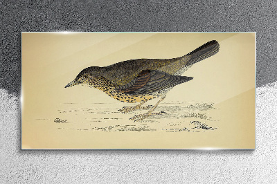 Bird on a beige background Glass Wall Art