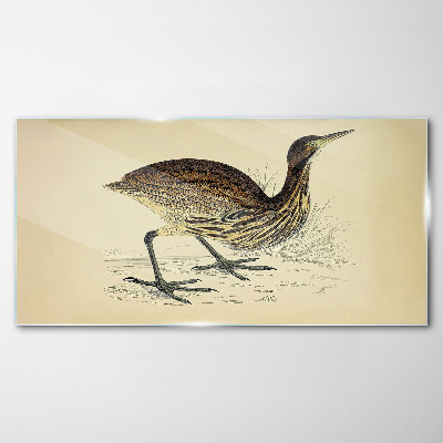 Bird drawing Glass Wall Art