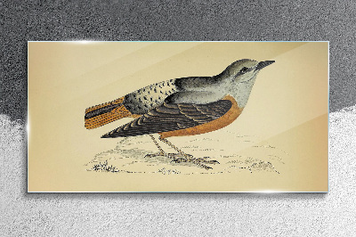 Bird in pastel shades Glass Wall Art