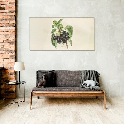 Black fruit on the branch Glass Print
