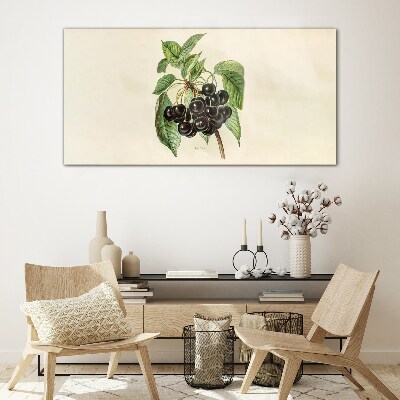 Black fruit on the branch Glass Print
