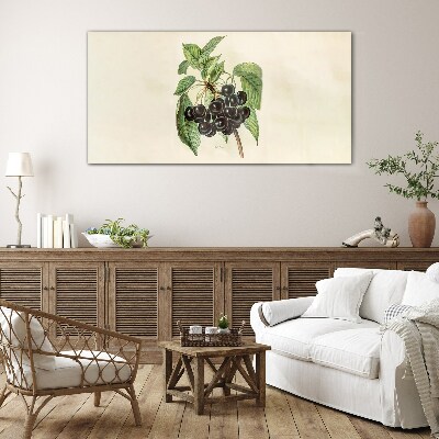 Black fruit on the branch Glass Print