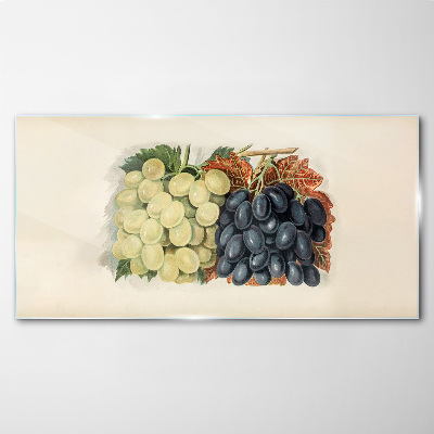 Grapes in harmony of colors Glass Print