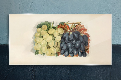 Grapes in harmony of colors Glass Print