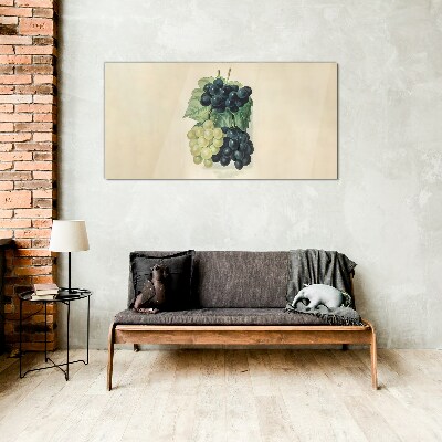 Fruity duo of grapes Glass Print