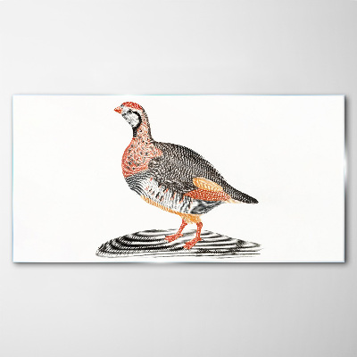 Drawing animal bird Glass Print