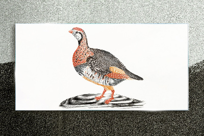 Drawing animal bird Glass Print