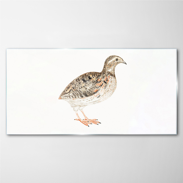 Bird on a white background Glass Print