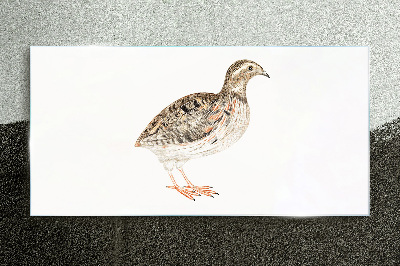 Bird on a white background Glass Print