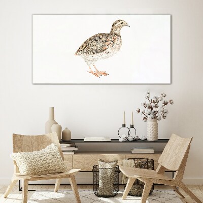 Bird on a white background Glass Print