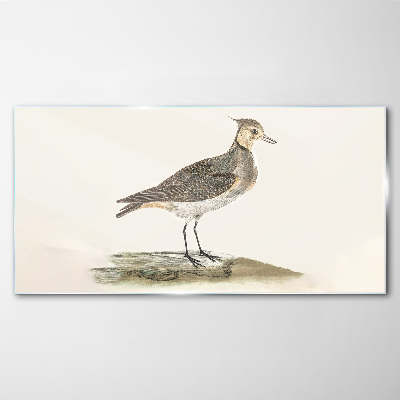 An elegant bird against the backdrop of nature Glass Print