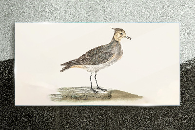An elegant bird against the backdrop of nature Glass Print