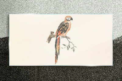 Parrot on a branch Glass Print