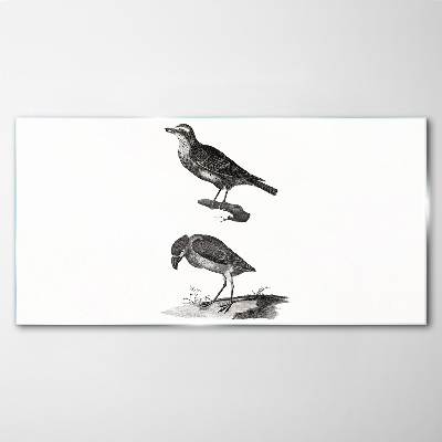 Drawing animals birds Glass Print