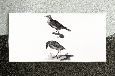 Birds on a branch Glass Print