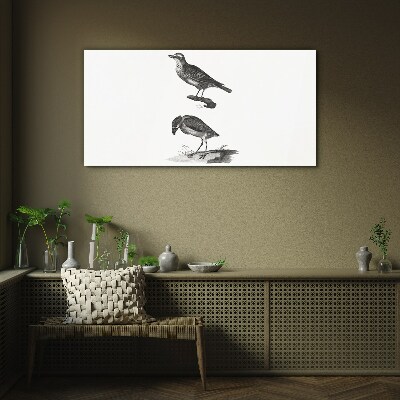 Drawing animals birds Glass Print