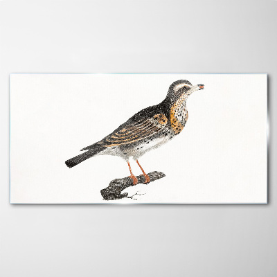 Bird on a branch Glass Print