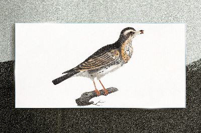 Bird on a branch Glass Print