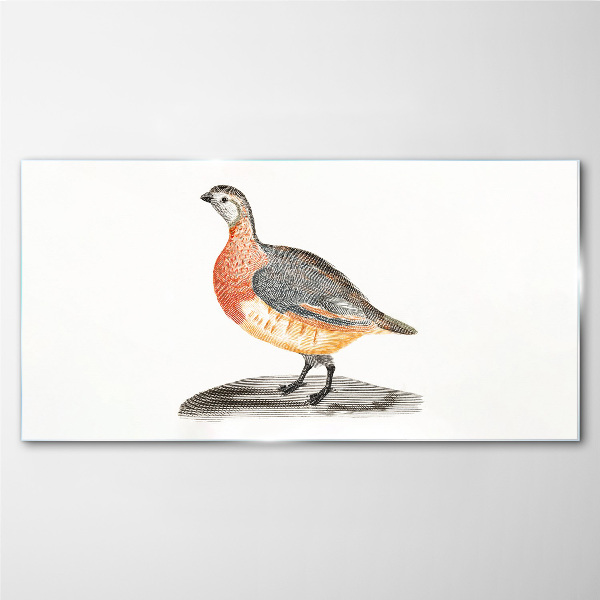 Happy bird on a white background Glass Print