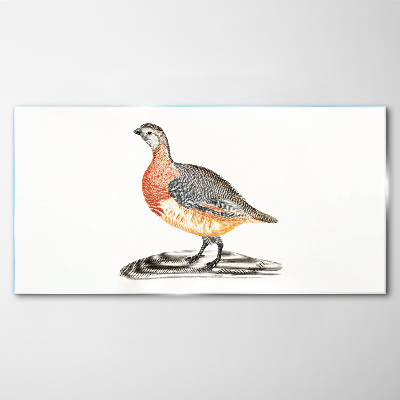 Happy bird on a white background Glass Print