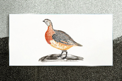 Happy bird on a white background Glass Print