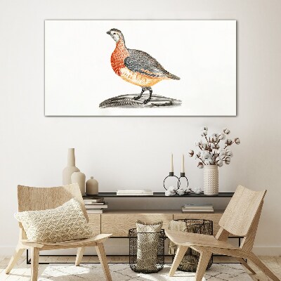 Happy bird on a white background Glass Print