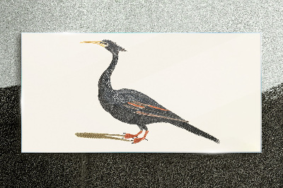 Black bird on white background Glass Print