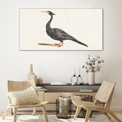 Black bird on white background Glass Print