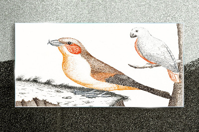 Bird duet on a branch Glass Print