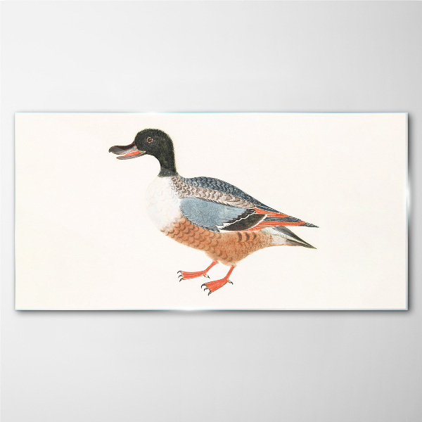 Drawing animal duck feathers Glass Print