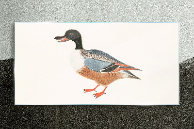 Drawing animal duck feathers Glass Print