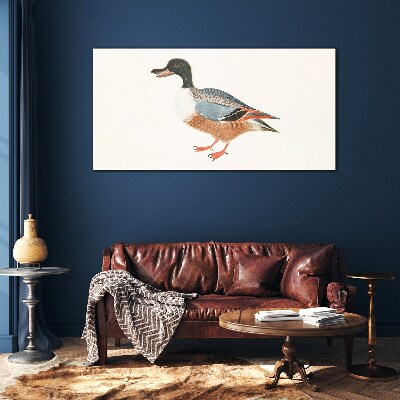 A duck in a colorful coat Glass Print