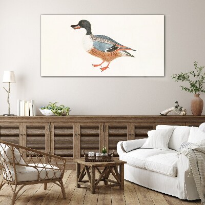 A duck in a colorful coat Glass Print