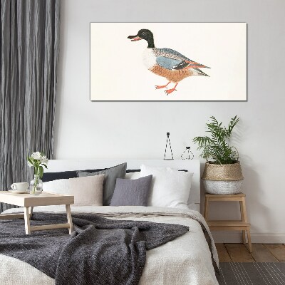 A duck in a colorful coat Glass Print