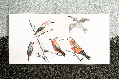 Colorful birds on a branch Glass Print