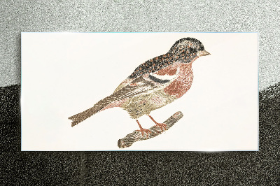 Bird on a branch Glass Print