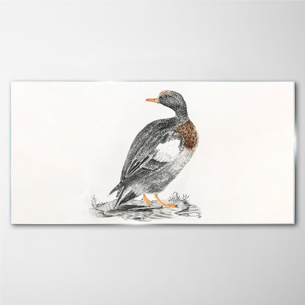 Drawing animal bird duck Glass Print