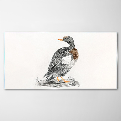 Duck on a white background Glass Print