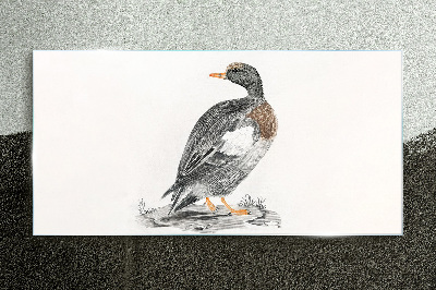 Duck on a white background Glass Print